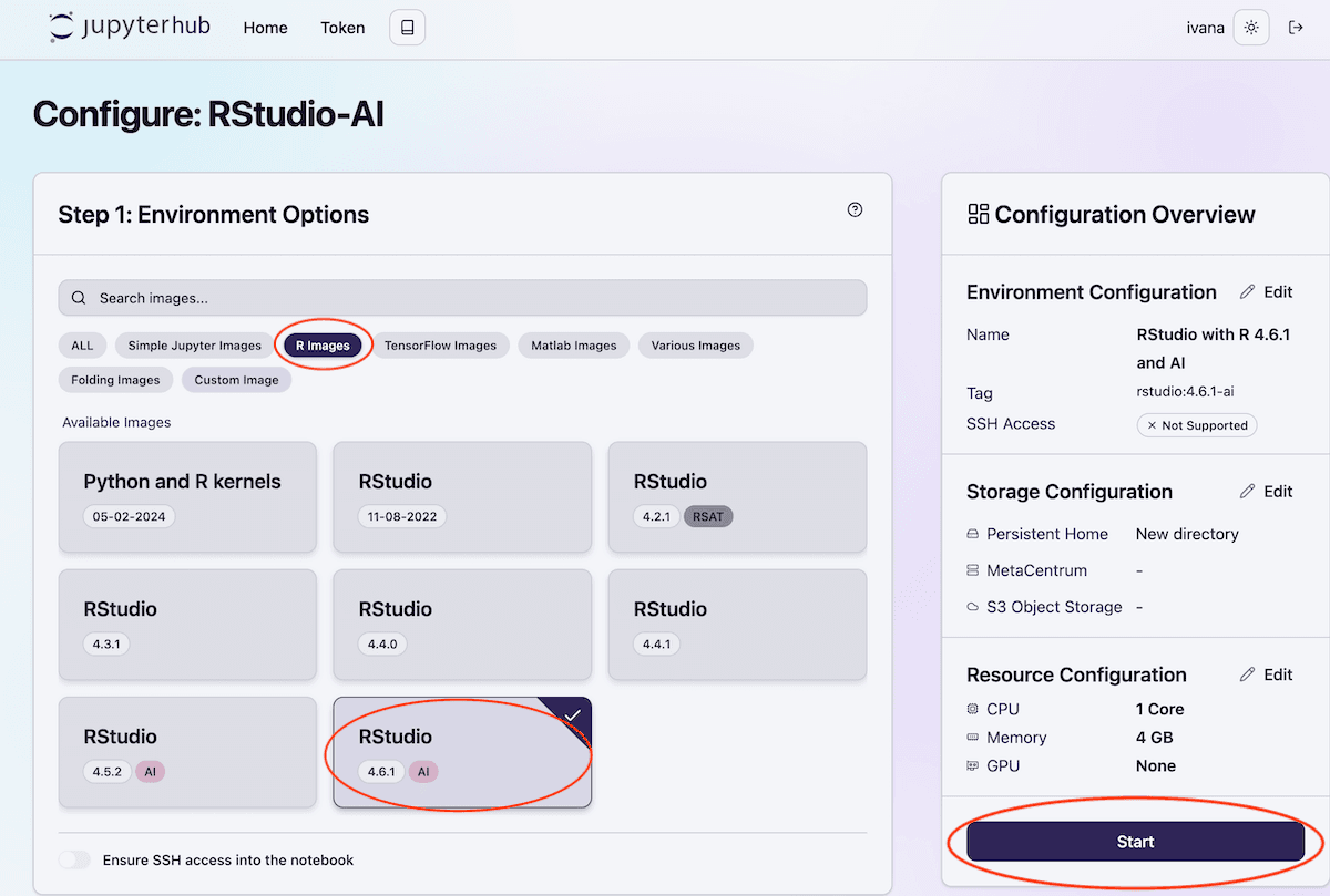 RStudio launcher