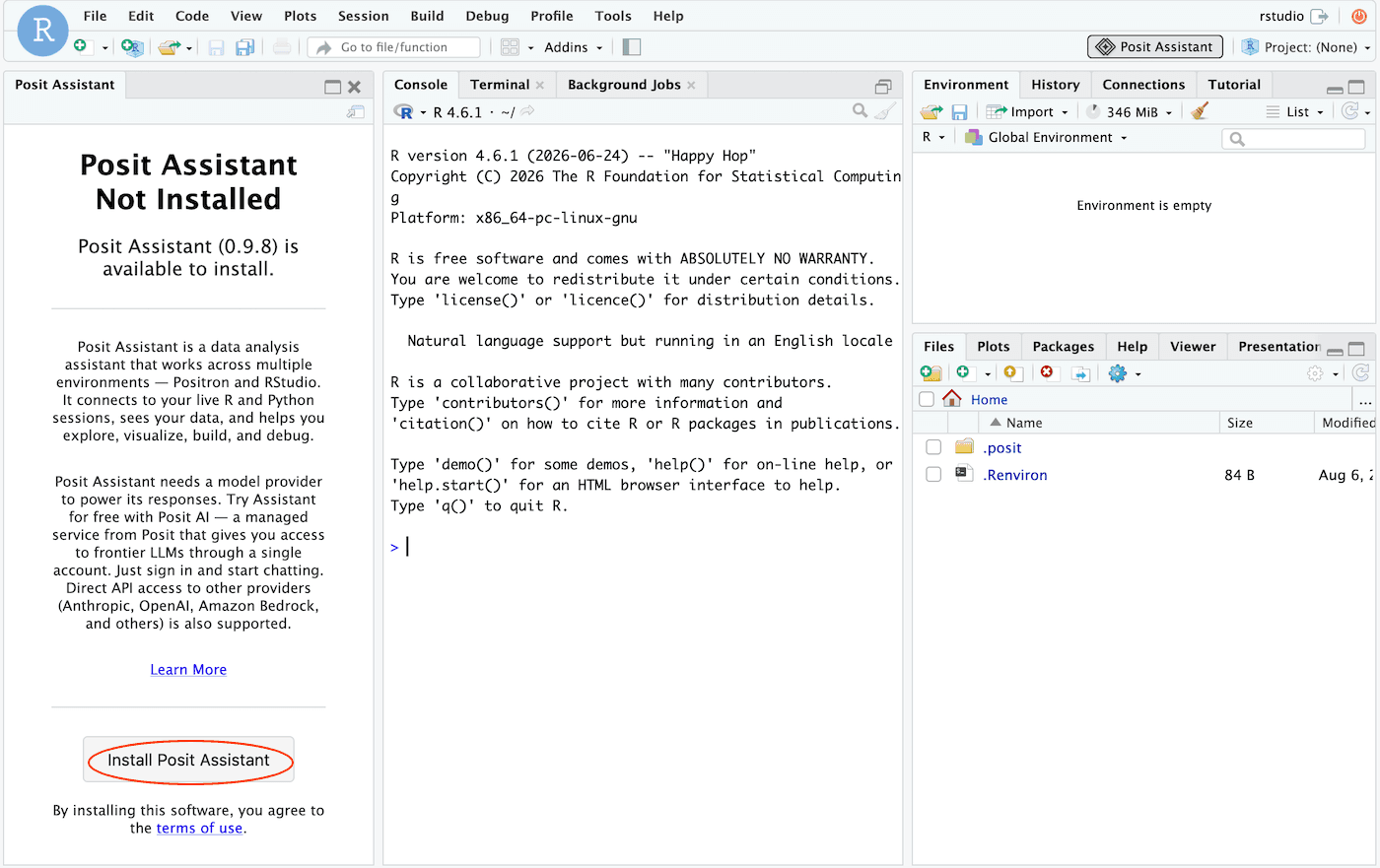 Install Posit Assistant interface