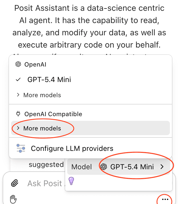 Selecting OpenAI Compatible category