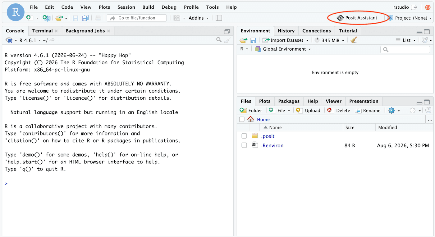 Posit Assistant location in RStudio